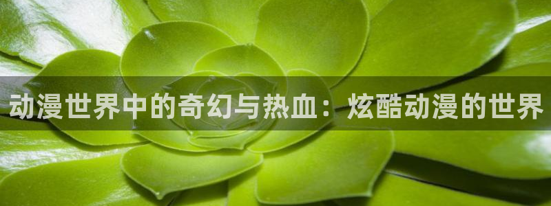 jk动漫天堂