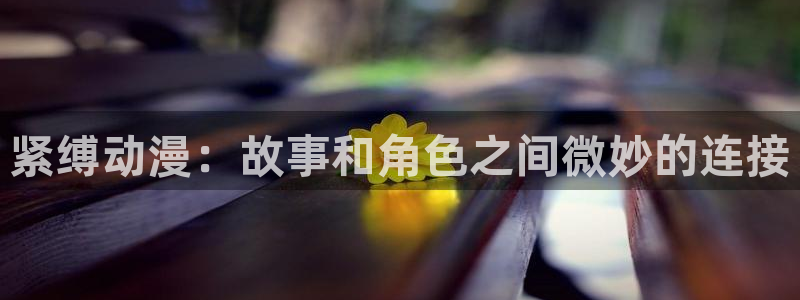 动漫天堂网址
