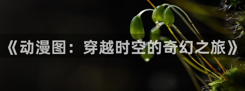 动漫天堂从哪下载安装：《动漫图：穿越时空的奇幻之旅》