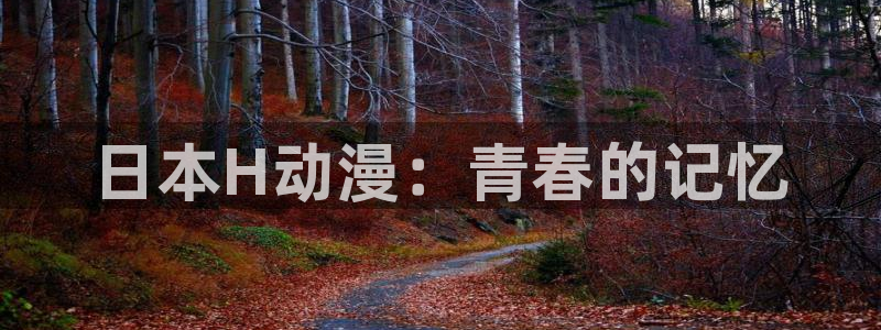 动漫天堂网站：日本H动漫：青春的记忆