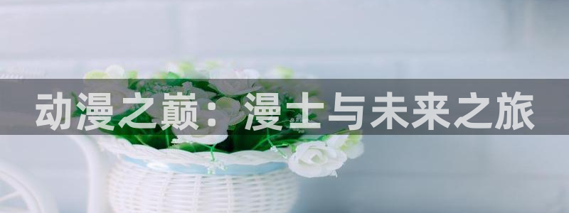动漫天堂在线看：动漫之巅：漫士与未来之旅