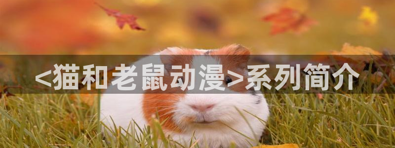3d动漫天堂网