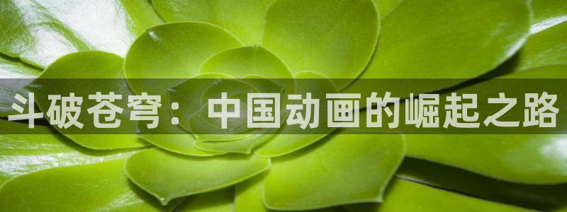 cos动漫天堂官网下载