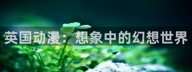 动漫天堂在线观看