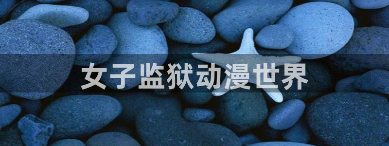 动漫天堂91