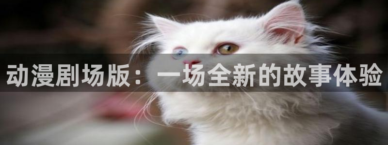 动漫天堂在线看