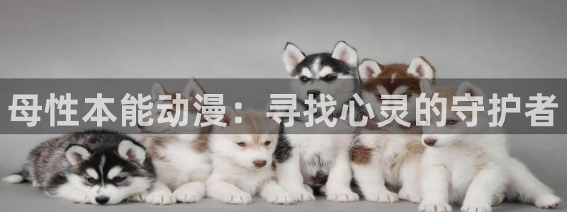 成人动漫天堂av：母性本能动漫：寻找心灵的守护者