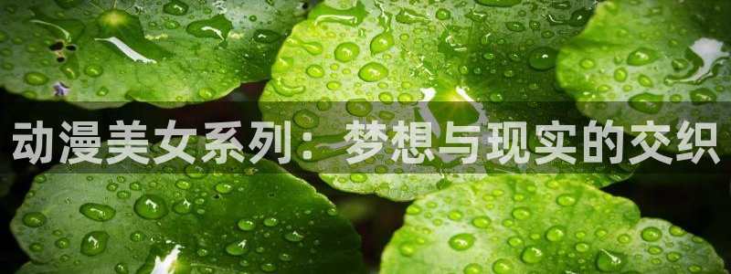 www.动漫天堂：动漫美女系列：梦想与现实的交织
