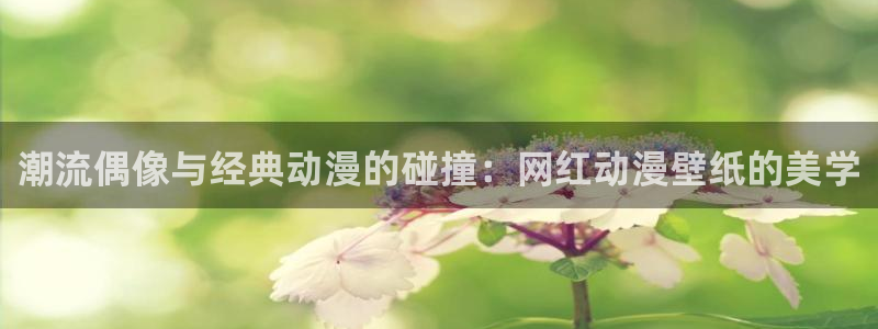 动漫天堂网址：潮流偶像与经典动漫的碰撞：网红动漫壁纸的美学