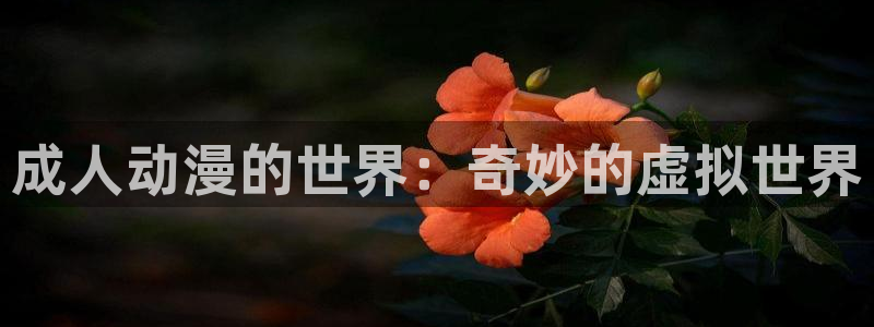 原神动漫天堂免费入口：成人动漫的世界：奇妙的虚拟世界