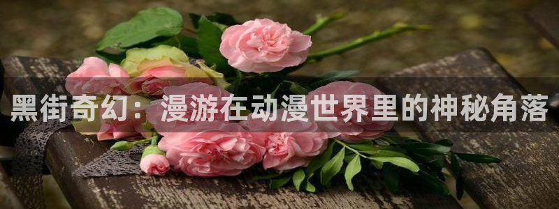 jk动漫天堂
