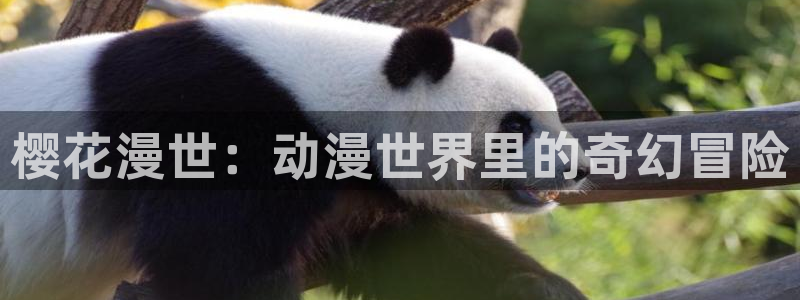动漫天堂18