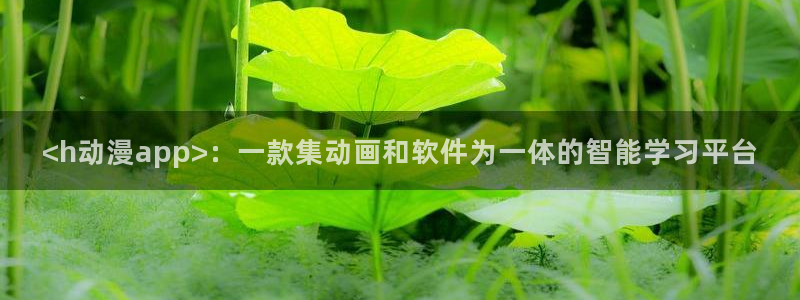 男人动漫天堂在线