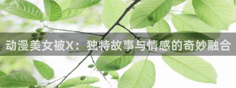 动漫天堂下载最新版