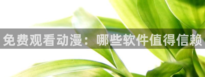 动漫天堂下载正版