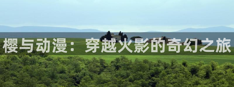 bt动漫天堂