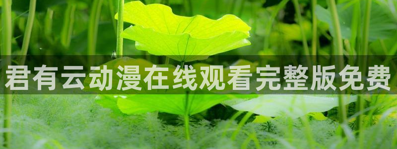 动漫天堂从哪下载安装