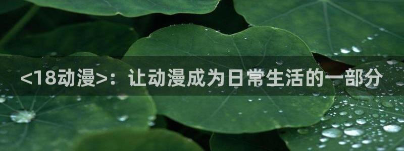 动漫天堂cc