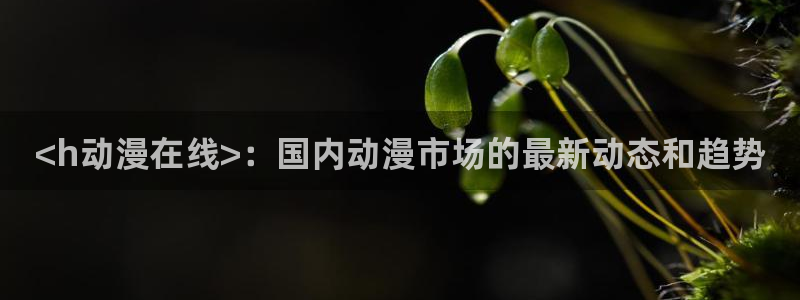 动漫天堂在线免费观看